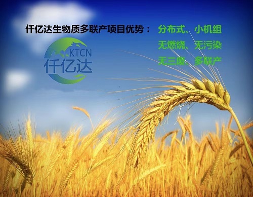 仟億達生物質多聯(lián)產(chǎn)介紹（2）